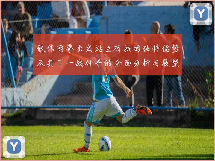 张伟丽拳击式站立对抗的独特优势及其下一战对手的全面分析与展望